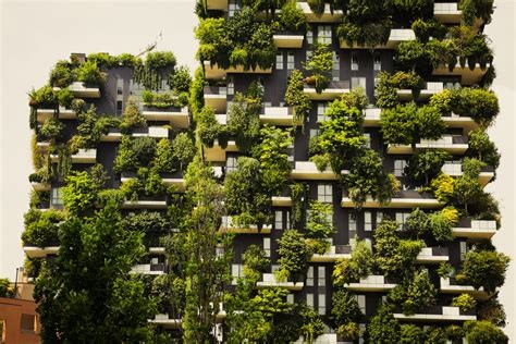 Sustainable Design Trends